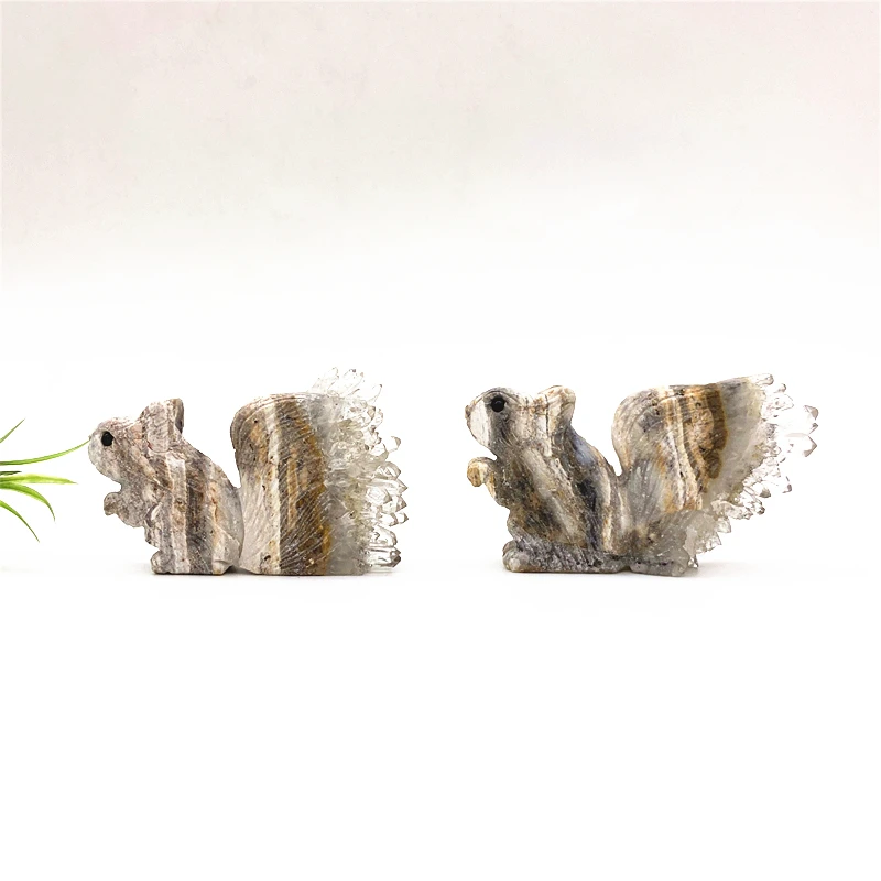 Armas Loomulik Crystal Clear Quartz Crystal Klastri Orav Käsitsi Nikerdatud Kuju Healing Home Decor Loomade Kujukeste